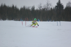 20190209_131352_6986