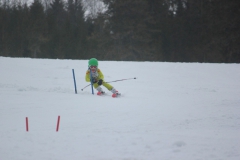 20190209_131354_6987