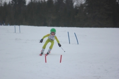 20190209_131358_6988