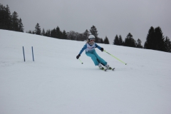20190209_131736_7011