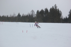 20190209_131804_7013