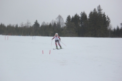 20190209_131806_7014