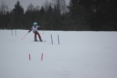 20190209_132056_7033