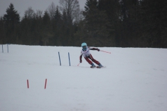 20190209_132100_7035