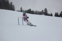 20190209_132454_7051