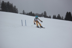 20190209_132706_7065