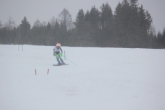 20190209_132734_7068