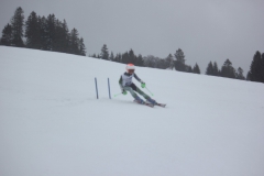 20190209_132738_7070