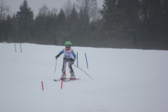 20190209_132806_7074