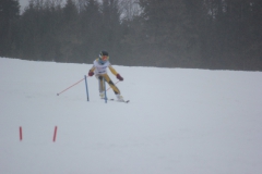 20190209_132910_7079
