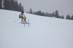 20190209_132916_7082