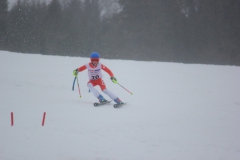 20190209_132942_7086
