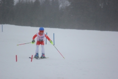 20190209_132952_7087