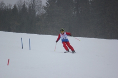 20190209_133112_7095