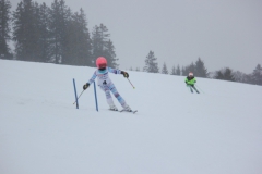 20190209_134128_7116