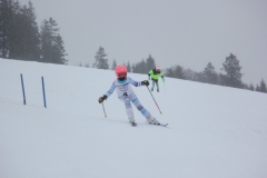 20190209_134130_7117