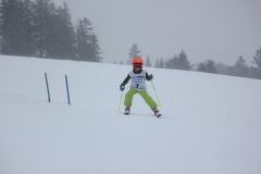 20190209_134418_7127