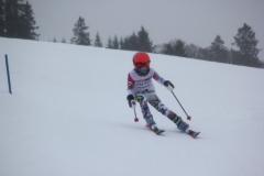 20190209_134526_7133