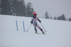 20190209_134606_7137
