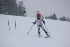 20190209_134608_7138