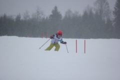 20190209_134732_7147