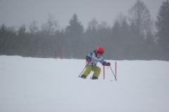 20190209_134734_7148