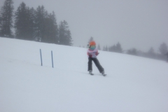 20190209_134816_7153