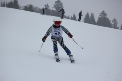 20190209_134912_7157