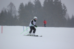 20190209_134950_7160