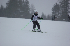 20190209_134952_7161