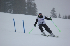 20190209_134954_7162