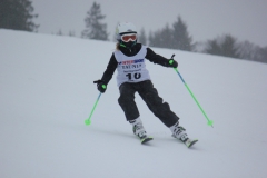 20190209_134958_7163