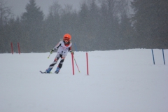 20190209_135020_7164