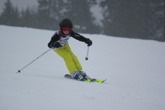 20190209_135132_7171