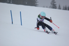 20190209_135212_7178