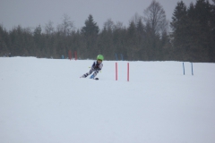 20190209_135312_7181