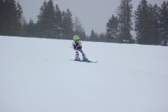 20190209_135318_7182