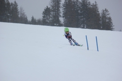 20190209_135320_7183