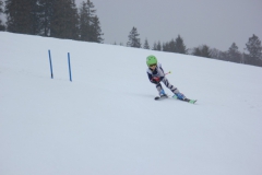 20190209_135326_7185