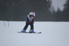 20190209_135438_7191