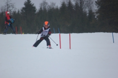 20190209_135524_7196