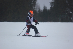20190209_135526_7197