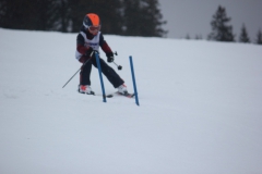 20190209_135530_7199