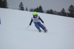 20190209_135634_7203