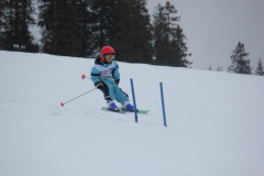 20190209_135718_7208