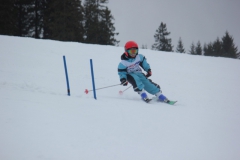 20190209_135720_7209