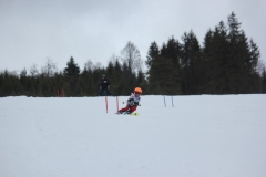 20190209_135924_7215