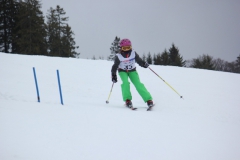 20190209_140156_7231