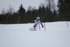 20190209_140244_7234