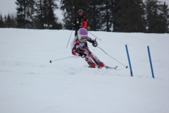 20190209_140406_7242